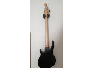 Gibson EB Bass 5 2017 T (57425)