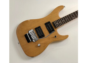 Washburn N2 NMK (5492)