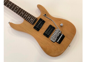 Washburn N2 NMK (39269)