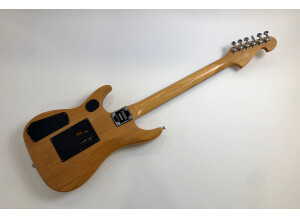 Washburn N2 NMK (11045)