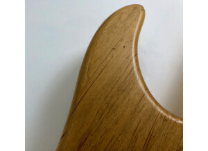 Washburn N2 NMK (77075)