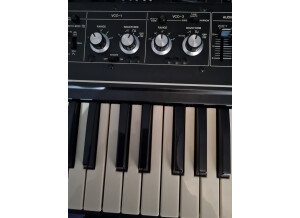 Roland SH-2 (15446)