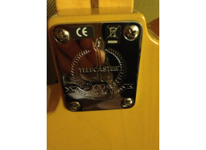 Fender [Tele-bration Series] '52 Hot Rod Telecaster - Butterscotch Blonde