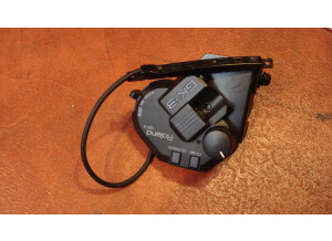 Roland GR-20 (41049)