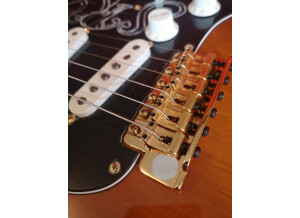 Fender Stevie Ray Vaughan SRV Stratocaster  '90s (52111)