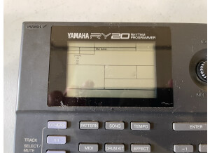 Yamaha RY20