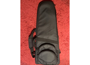 Ibanez ICHI10 Ichika Nito Signature (81565)