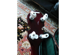 Epiphone [Bluegrass Series] MB-200 - Red Brown Mahogany
