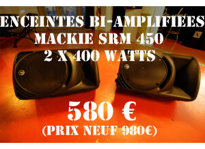 Mackie SRM450v2 (26504)