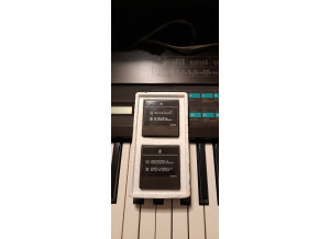 Yamaha DX7 (19138)
