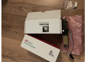 Mutable Instruments Ears (91491)