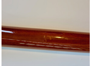 Tokai Love Rock LS-75Q (23812)