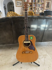 L.R. Baggs M1 Active