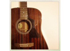 Warwick Streamer LX 5