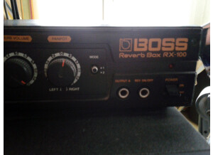 Boss RX-100 Reverb Box (37396)