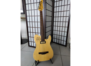 Godin Acousticaster Deluxe (82310)