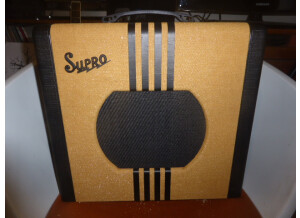 Supro Delta King 10 (4292)