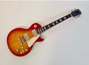 Gibson 1960 Les Paul Standard Reissue 2013 (66343)