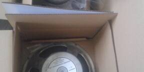 2x CELESTION G12H100