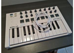 Arturia MiniLab mkII (98391)