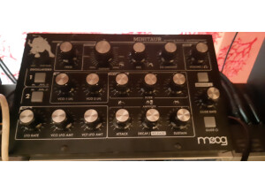 Moog Music Minitaur (38590)