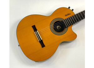 Epiphone Chet Atkins SST Deluxe (2208)