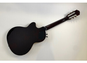 Epiphone Chet Atkins SST Deluxe (41817)