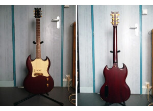 SR Guitars SRSG Study Heritage Cherry