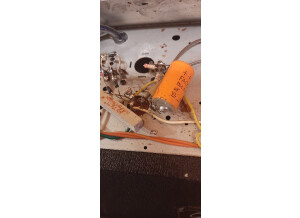 Galanti M.BASS 30 (14904)