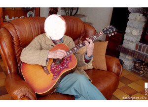 Gibson Hummingbird (95049)