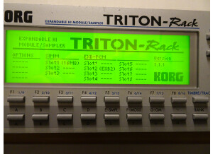 Korg Triton Rack (25508)