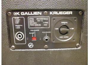Gallien Krueger [MicroBass Series] 112MBX