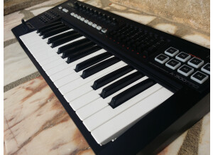 Roland A-300PRO-R (4481)