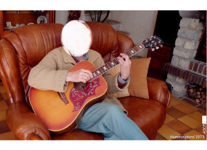 Gibson Hummingbird (62129)