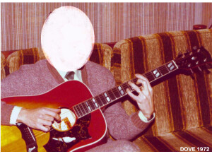 Gibson Hummingbird (67284)