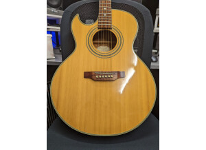 Epiphone PR5-E (63379)