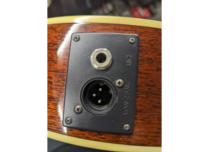 Epiphone PR5-E (98132)