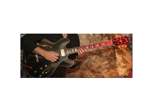 Gibson ES-335 TD (84071)