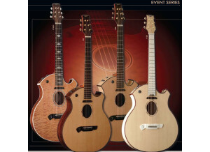 Parker Guitars P 6 E