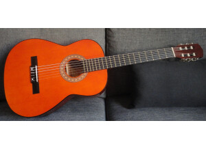 Goldy Guitars C-10 (60923)