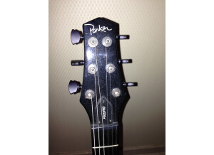 Parker Guitars PM20 Pro