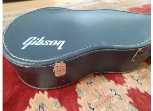 Gibson SG Junior (1969)