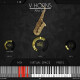 VHorns Saxophones VHorns Saxophones