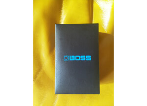 Boss RV-6 Reverb (65332)