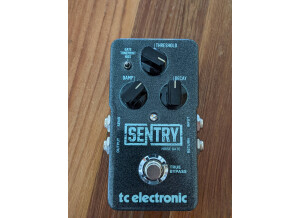 PXL 20221031 124513831.PORTRAIT