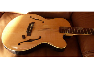 Yamaha AEX500N2 (2228)