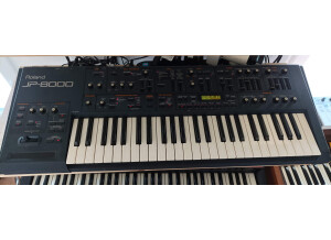 Roland JP-8000 (83437)