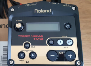 Roland TM-2 Trigger Module (23623)