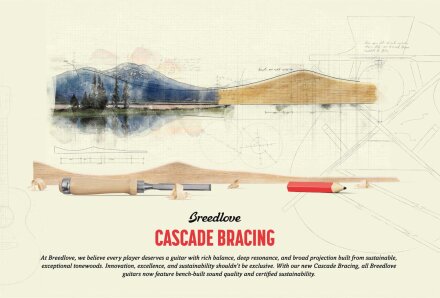 OrganicBracing OrganicBracing