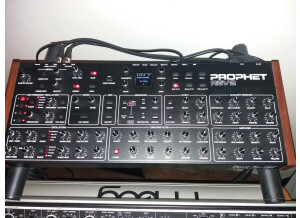 313933493 986436276092407 4734302687919761916 n